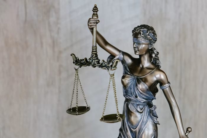 Law Firms & Lawyers